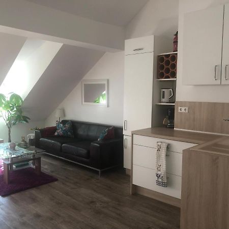 Old Bridge View Apartment Heidelberg Exterior foto