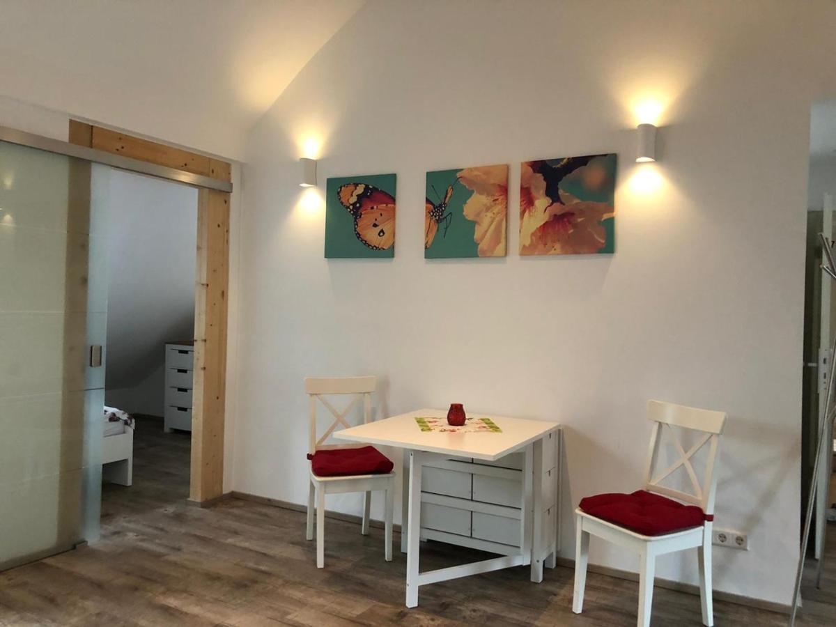 Old Bridge View Apartment Heidelberg Exterior foto