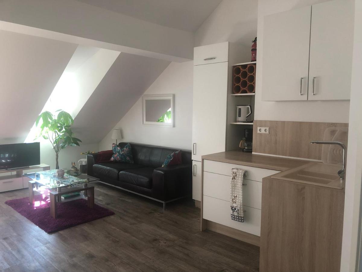 Old Bridge View Apartment Heidelberg Exterior foto